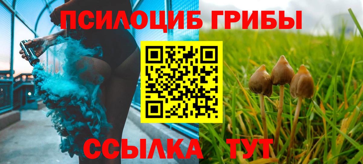 Галлюциногенные грибы GOLDEN TEACHER  Псилоцибиновые грибы Cubensis  Борзя  Вход с VPN 